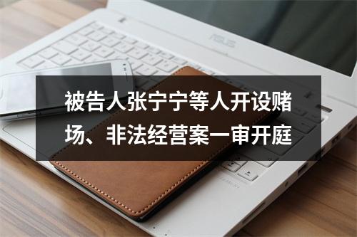 被告人张宁宁等人开设赌场、非法经营案一审开庭