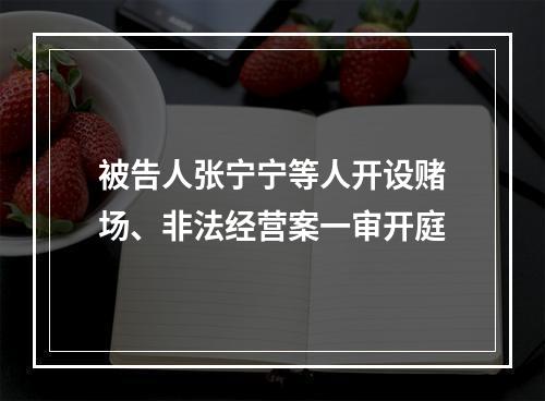 被告人张宁宁等人开设赌场、非法经营案一审开庭