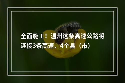 全面施工！温州这条高速公路将连接3条高速、4个县（市）