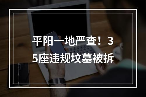 平阳一地严查！35座违规坟墓被拆