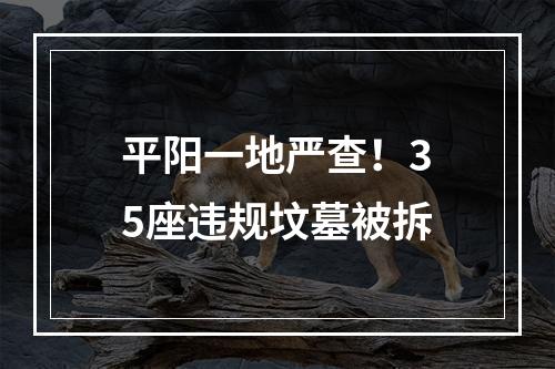 平阳一地严查！35座违规坟墓被拆