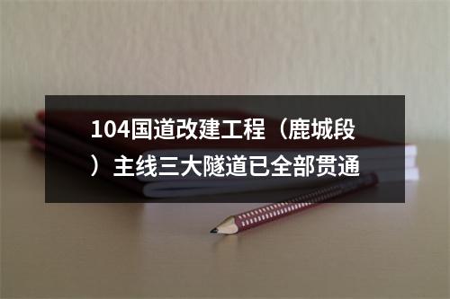 104国道改建工程（鹿城段）主线三大隧道已全部贯通