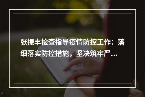张振丰检查指导疫情防控工作：落细落实防控措施，坚决筑牢严密防线