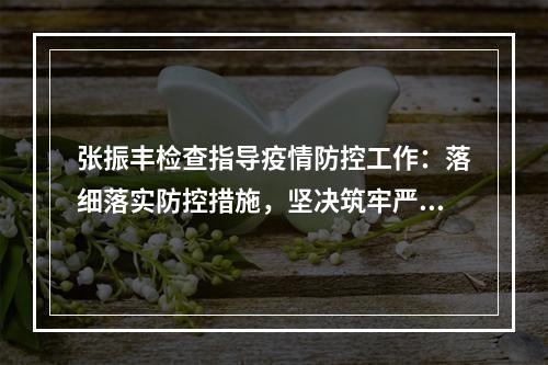 张振丰检查指导疫情防控工作：落细落实防控措施，坚决筑牢严密防线