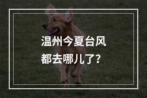 温州今夏台风都去哪儿了？