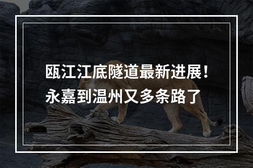 瓯江江底隧道最新进展！永嘉到温州又多条路了