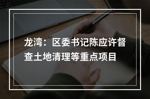 龙湾：区委书记陈应许督查土地清理等重点项目