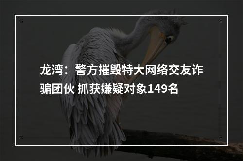 龙湾：警方摧毁特大网络交友诈骗团伙 抓获嫌疑对象149名