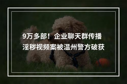 9万多部！企业聊天群传播淫秽视频案被温州警方破获