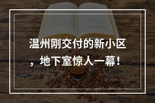 温州刚交付的新小区，地下室惊人一幕！