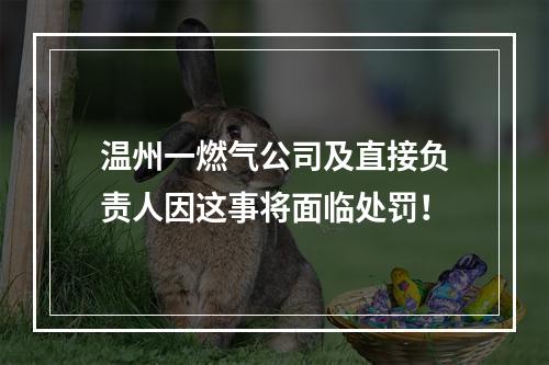 温州一燃气公司及直接负责人因这事将面临处罚！