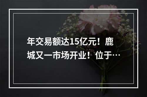 年交易额达15亿元！鹿城又一市场开业！位于…