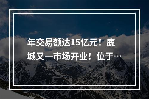 年交易额达15亿元！鹿城又一市场开业！位于…