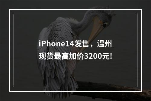 iPhone14发售，温州现货最高加价3200元!