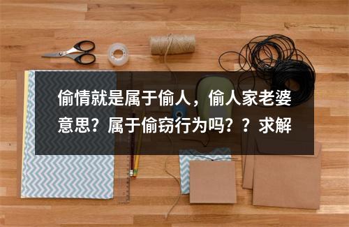 偷情就是属于偷人，偷人家老婆意思？属于偷窃行为吗？？求解