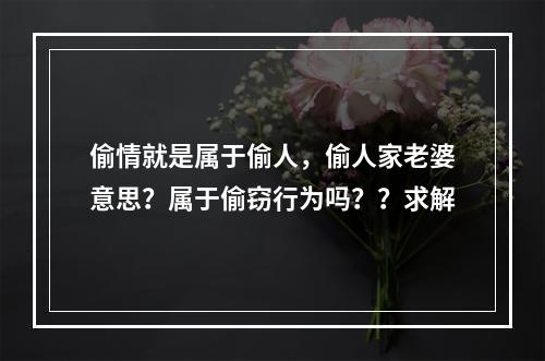 偷情就是属于偷人，偷人家老婆意思？属于偷窃行为吗？？求解