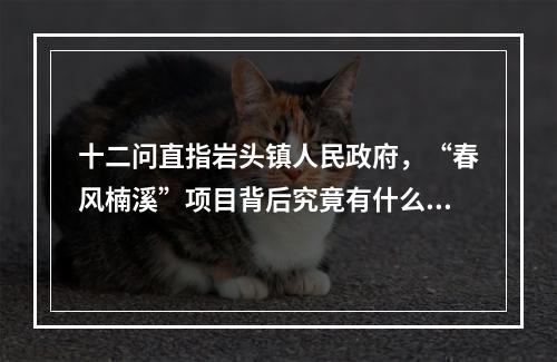 十二问直指岩头镇人民政府，“春风楠溪”项目背后究竟有什么不可告人的秘密？