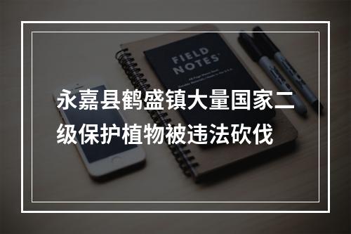 永嘉县鹤盛镇大量国家二级保护植物被违法砍伐