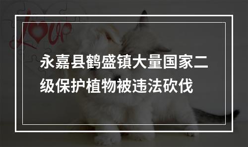 永嘉县鹤盛镇大量国家二级保护植物被违法砍伐