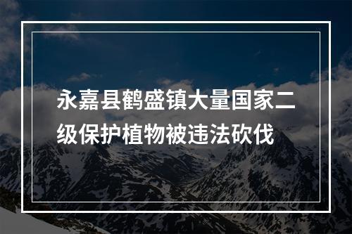 永嘉县鹤盛镇大量国家二级保护植物被违法砍伐