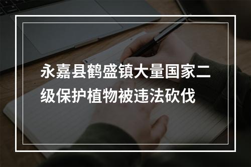 永嘉县鹤盛镇大量国家二级保护植物被违法砍伐