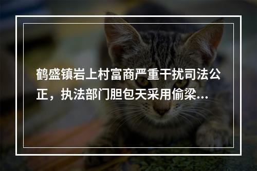 鹤盛镇岩上村富商严重干扰司法公正，执法部门胆包天采用偷梁换柱执法。