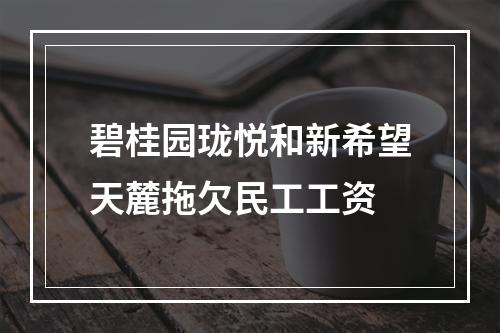 碧桂园珑悦和新希望天麓拖欠民工工资