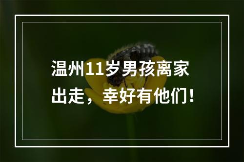 温州11岁男孩离家出走，幸好有他们！
