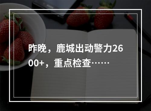 昨晚，鹿城出动警力2600+，重点检查……