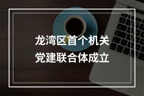 龙湾区首个机关党建联合体成立