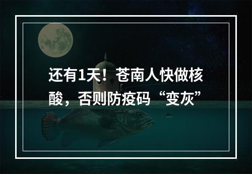 还有1天！苍南人快做核酸，否则防疫码“变灰”