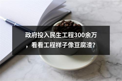 政府投入民生工程300余万，看看工程样子像豆腐渣？