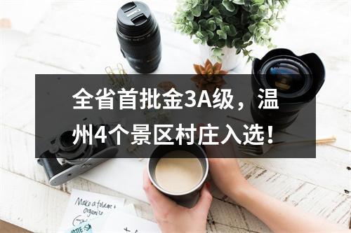 全省首批金3A级，温州4个景区村庄入选！