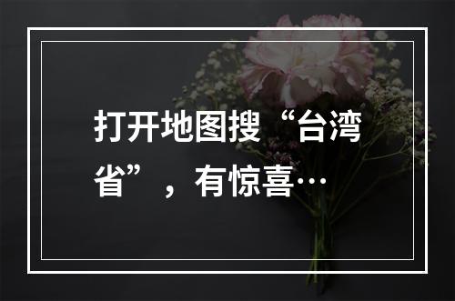 打开地图搜“台湾省”，有惊喜…
