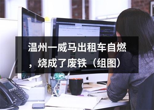 温州一威马出租车自燃，烧成了废铁（组图）
