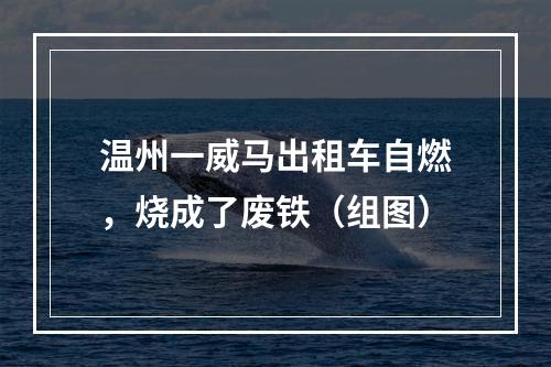 温州一威马出租车自燃，烧成了废铁（组图）