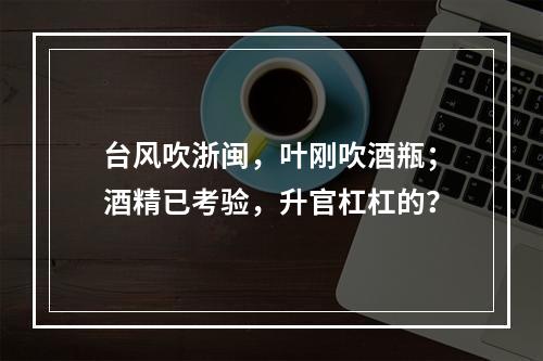 台风吹浙闽，叶刚吹酒瓶；酒精已考验，升官杠杠的？