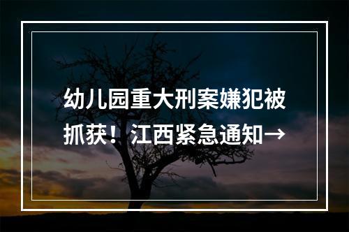 幼儿园重大刑案嫌犯被抓获！江西紧急通知→