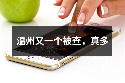 温州又一个被查，真多
