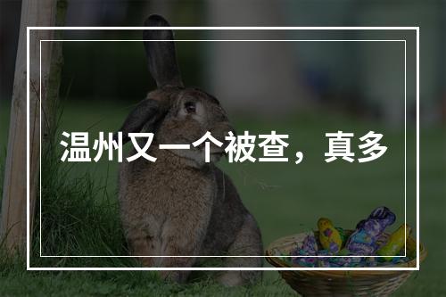 温州又一个被查，真多