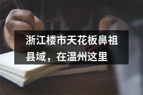 浙江楼市天花板鼻祖县域，在温州这里