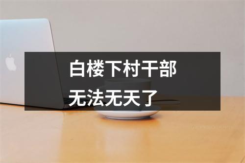 白楼下村干部无法无天了