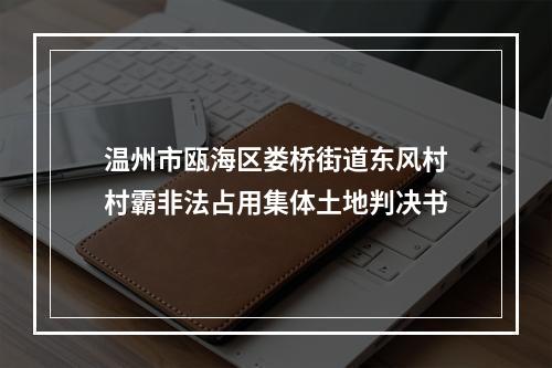 温州市瓯海区娄桥街道东风村村霸非法占用集体土地判决书