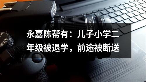 永嘉陈帮有：儿子小学二年级被退学，前途被断送