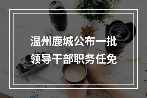 温州鹿城公布一批领导干部职务任免