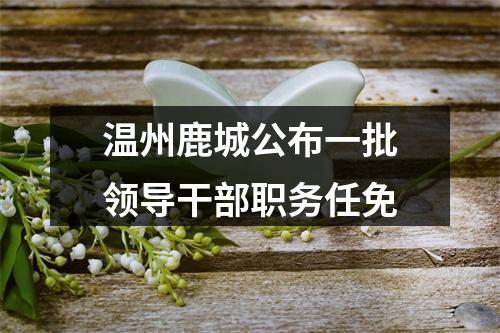温州鹿城公布一批领导干部职务任免