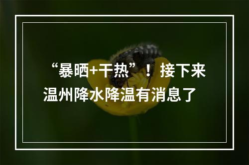 “暴晒+干热”！接下来温州降水降温有消息了