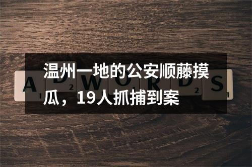 温州一地的公安顺藤摸瓜，19人抓捕到案