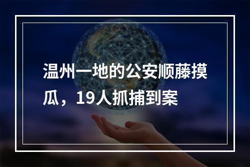 温州一地的公安顺藤摸瓜，19人抓捕到案