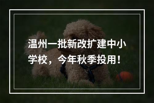 温州一批新改扩建中小学校，今年秋季投用！